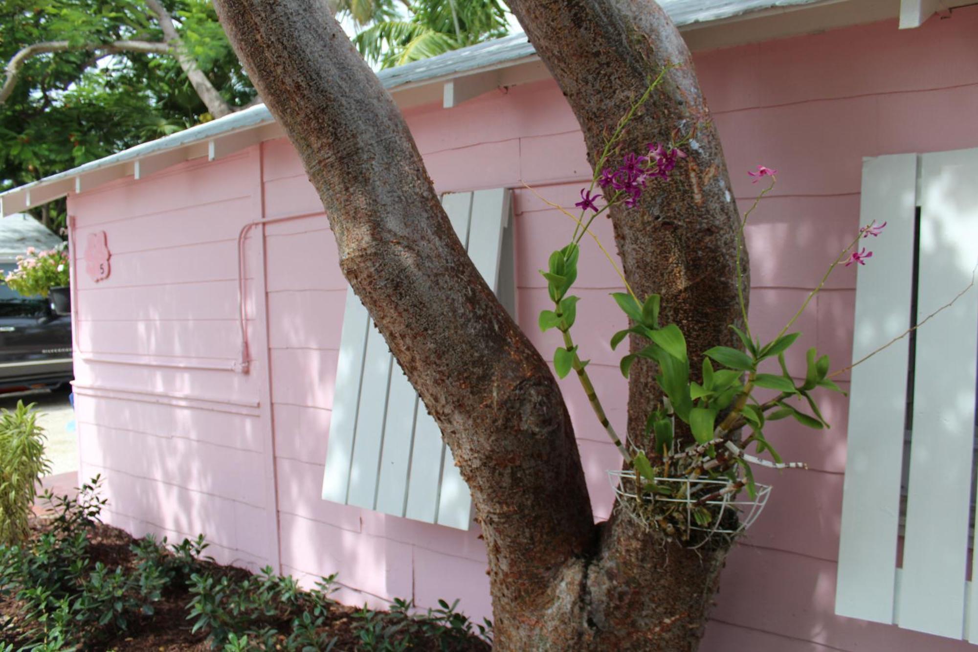 Tropical Cottages Marathon Quarto foto